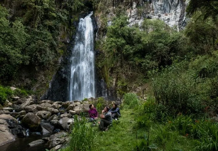Waterfall near Murillo, Parque Nacional Los Nevados