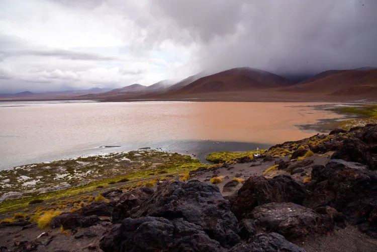 The pink Laguna Colorada; one of the highlights of Salar de Uyuni tours. 