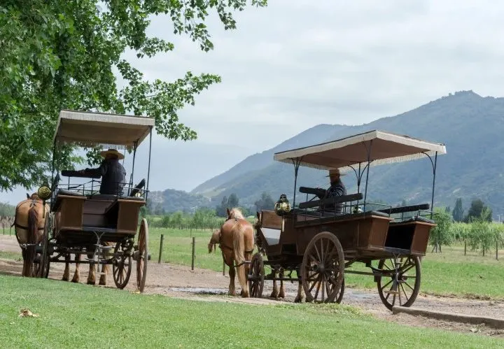 A horse-drawn carriage at Viu Manent, a vineyard in the Colchagua Valley, Chile. 