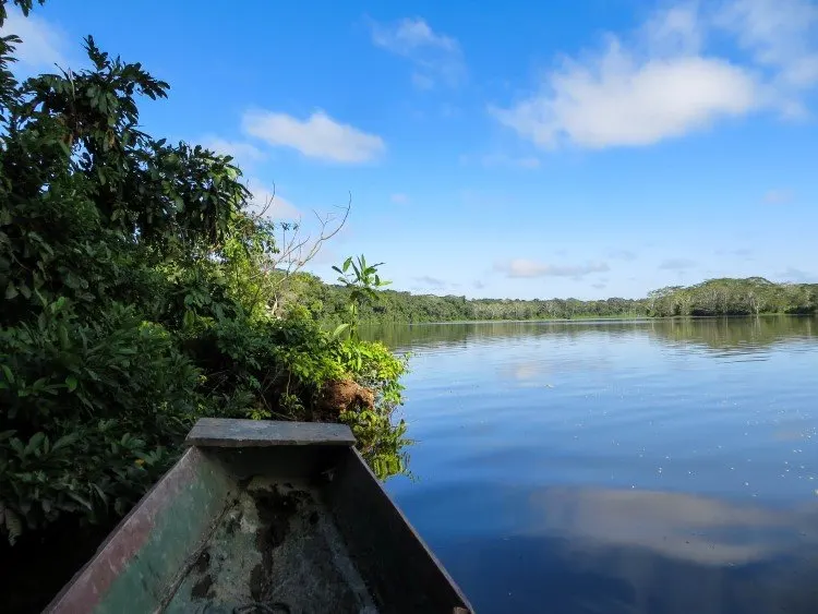 Travel by boat through the Amazon Jungle: a truly unique thing to do in Bolivia. 