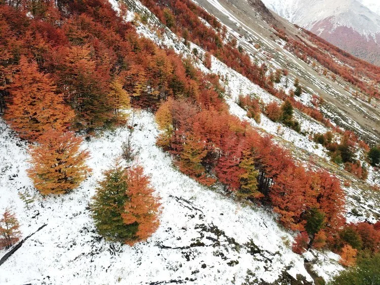 Cerro Castillo National Park with trees in fall colours and snow on the ground