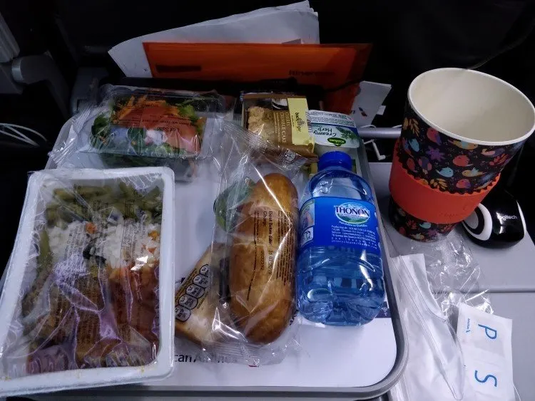Single-use plastic on a plane to the United States with American Airlines, an obstacle to a plastic free lifestyle.