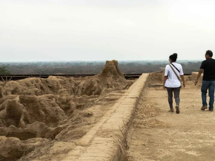 The Huaca de las Ventanas in Batan Grande and the Bosque de Pomac, an archeological site in the north of Peru and an essential place to include when planning a trip to Peru