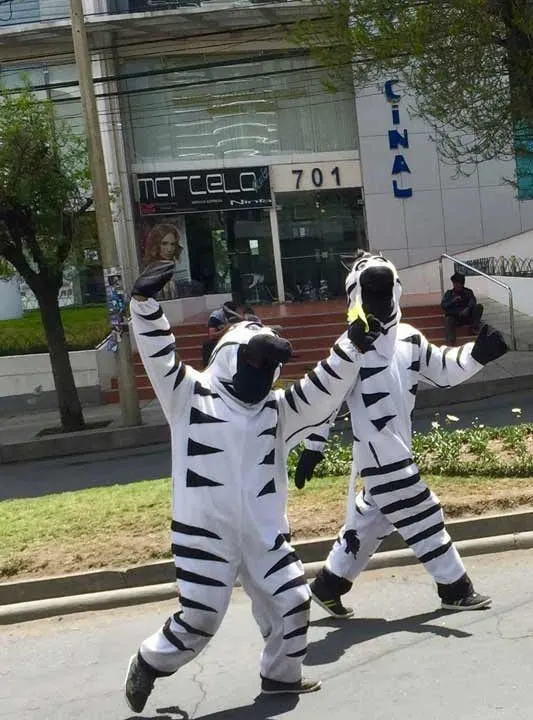 Zebra crossing guards in La Paz, Bolivia