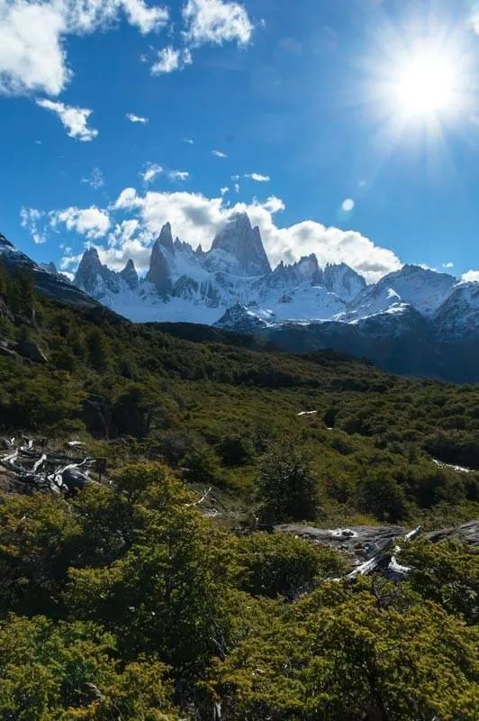 Looking over a forested wilderness to snow covered mountains under a blue sky. Best Hikes in South America.