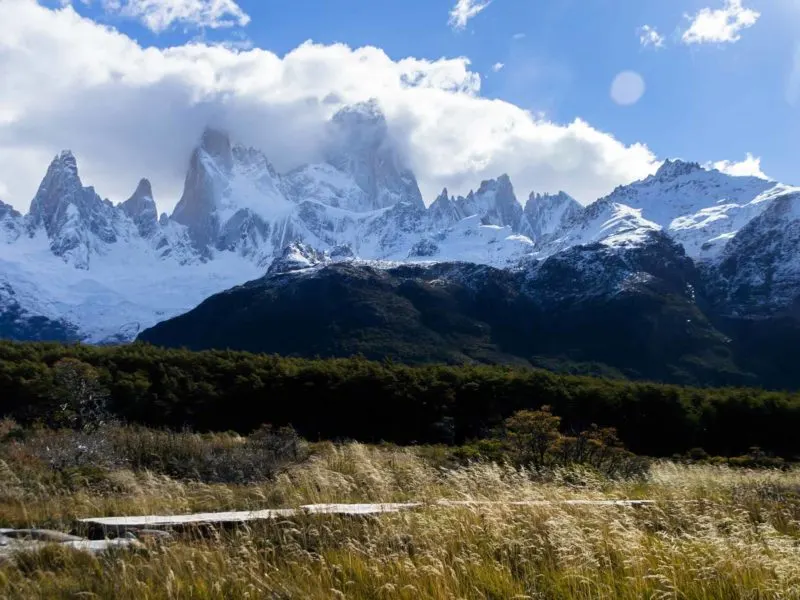 Looking over a forested wilderness to snow covered mountains under a blue sky. Best Hikes in South America.
