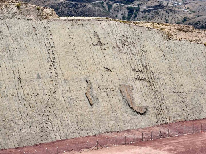 Bolivia Sucre Parque Cretacico Dinosaur Footprints