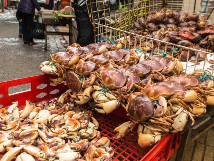 Things to do in Valparaíso Fish Market