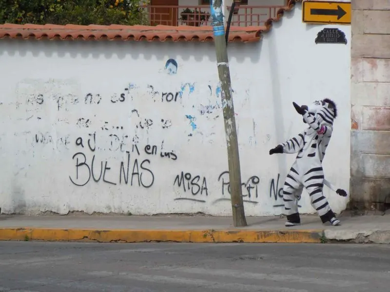 A dancing Zebra in the city of Sucre helps keep people safe when crossing the street. Check them out on this South America Backpacking Route