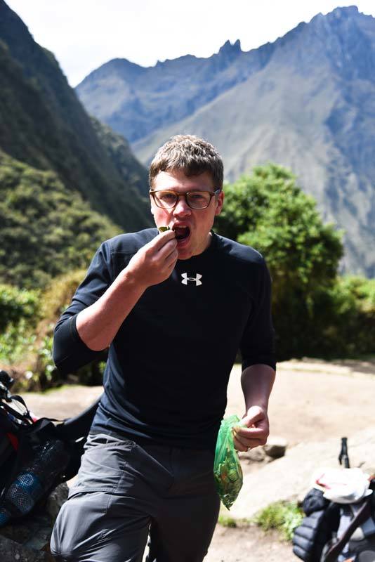 Trying coca leaves to alleviate the effects of altitude while hiking the Inca Trail