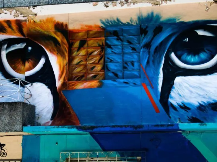 Cat-themed street art in Medellin Colombia.