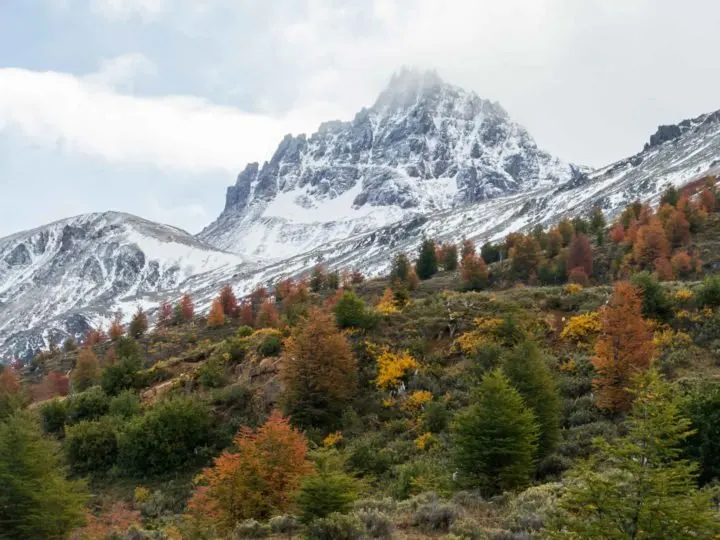 Autumn offers some of the best photos when driving in Patagonia