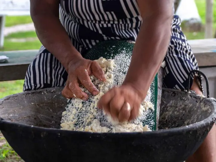 A woman grates raw cassava in Guyana, South America