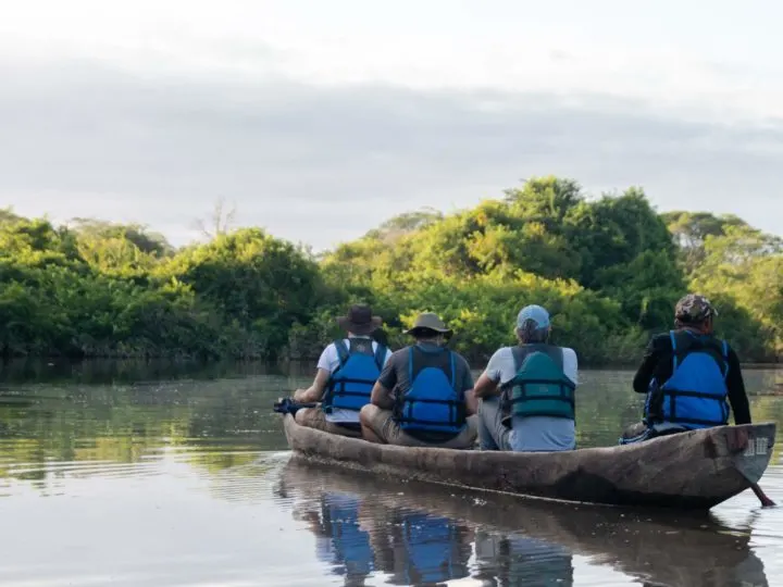 Four people in a dugout canoe paddle over a lake.