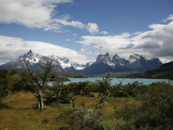 Low trees and grass lie before Lago Nordenskjold, as accessed from a short day hike in Torres del Paine National Park