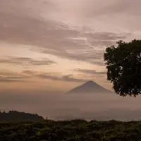 A volcano rises out of the mist in Guatemala