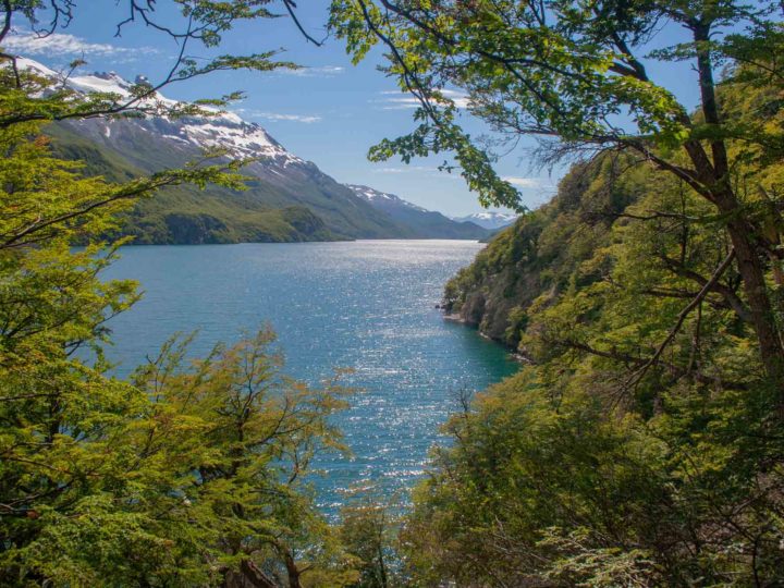 Lago O'Higgins at the end of the crossing from El Chalten, a trekking adventure in Patagonia