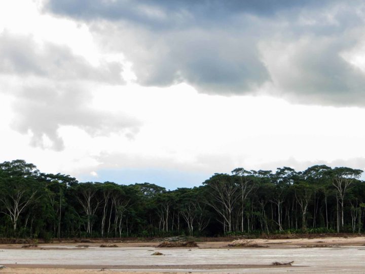 The jungle and a small beach on a river in Parque Amboro in Bolivia