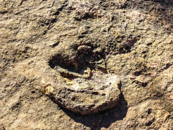 A dinosaur footprint in the ground in Toro Toro National Park, Bolivia