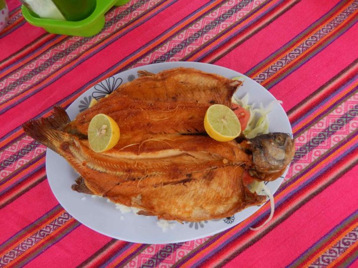 Fried trout on a plate with a colourful Andean tablecloth beneath