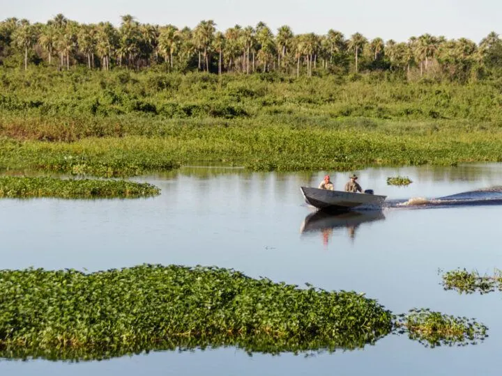 A boat putters up a river in the Pantanal in Paraguay, the fourth safest country to visit in South America, according to the Global Peace Index