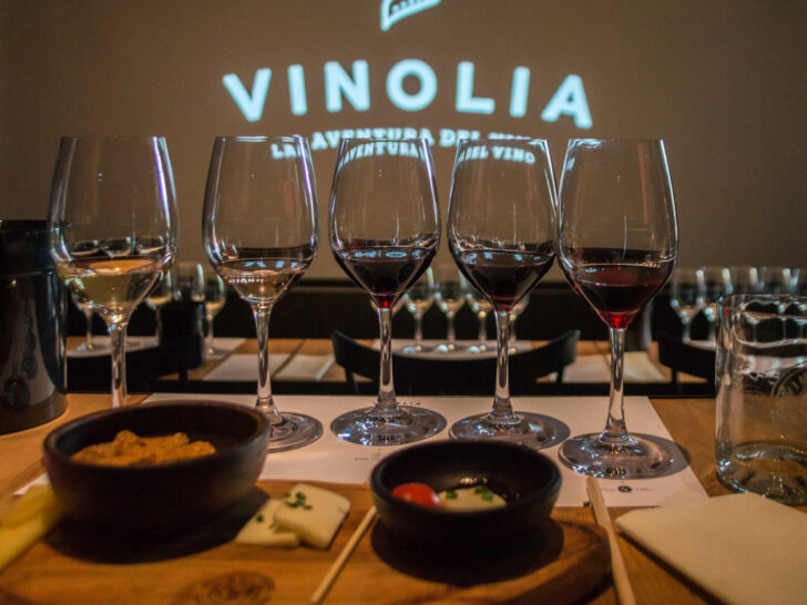 Vionlia, a restaurant and wine tasting place in Santiago in Chile