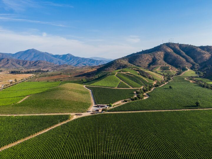An aerial shot of the Casablanca Wine Valley in Chile