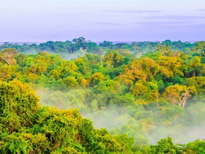 Fog covering the Amazon rain forest by Leticia in Colombia. 