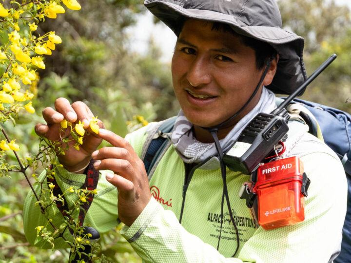 An Alpaca Expeditions guide poses with a flower on the Salkantay trek to Machu Picchu, Peru