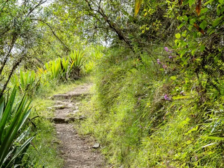 The path on the the Salkantay trek to Machu Picchu