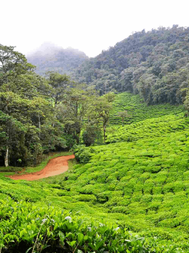 Three Mind-Blowing Colombia Itineraries For One & Two Weeks Story