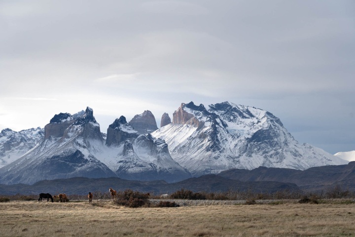 Patagonia