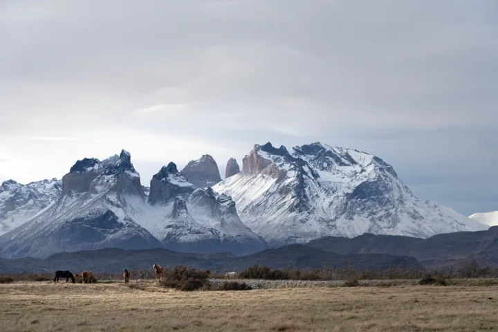 Los Cuernos with wild horses in front in Torres del Paine National Park, Patagonia