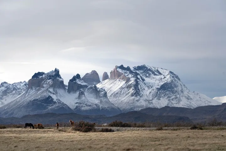 The Patagonia Map: The Regions in Patagonia and What to See