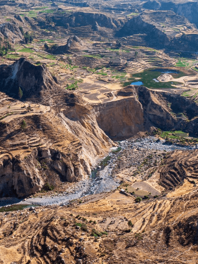 Hiking the Colca Canyon, Peru: The Complete Travel Guide Story