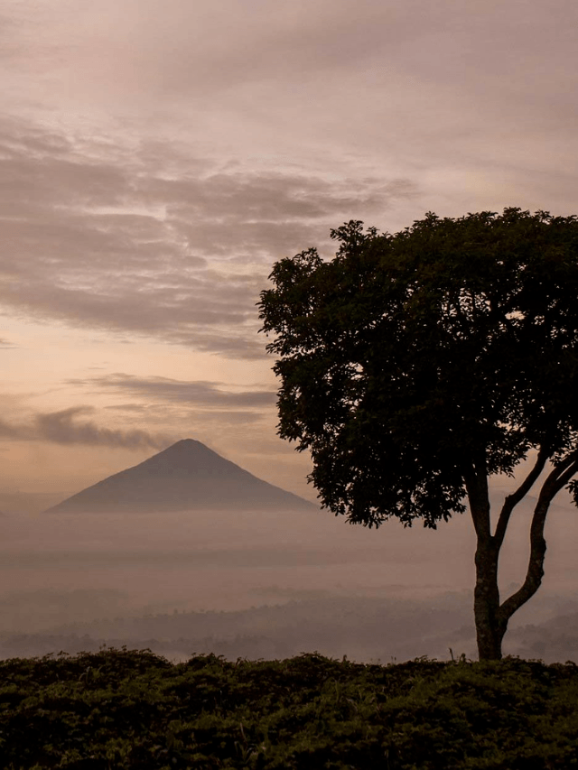 The Ultimate One- or Two-Week Guatemala Itinerary Story