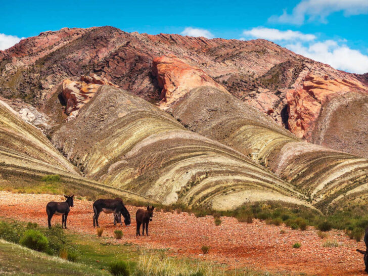 The multicoloured Quebrada de Humahuaca canyon in Argentina 