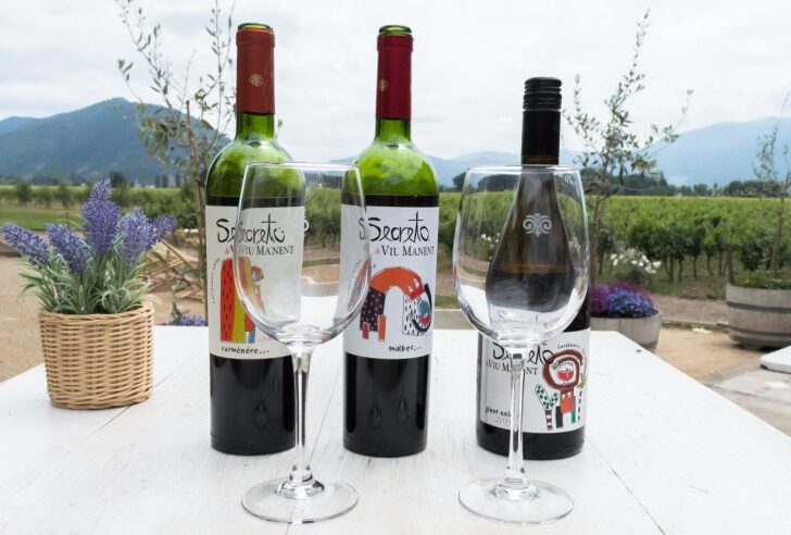 Three bottles of the most delicious Chilean Carmenere wine.