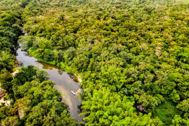 A tiny boat lost in the immensity of the Amazon rain forest in Amacayacu Park, Colombia.