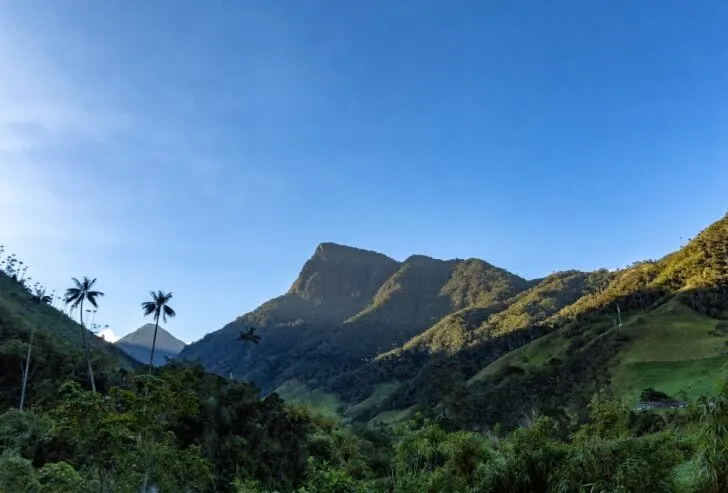 Early morning on a trail leading up to the Los Nevados National Park near Salento, Colombia.