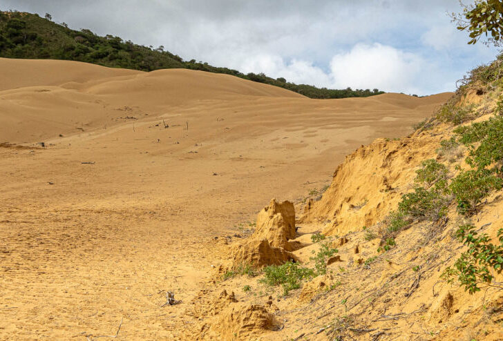 A unique sand dune view in Macura National Park in Colombia.