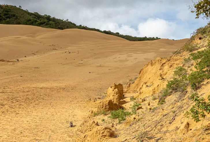 A unique sand dune view in Macura National Park in Colombia.