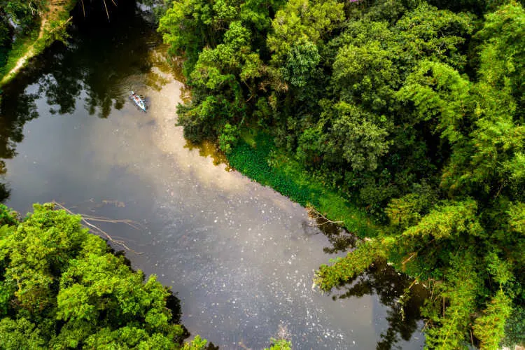 An aerial photo of a river in the Suriname Amazon, one of the most expensive countries to visit in South America