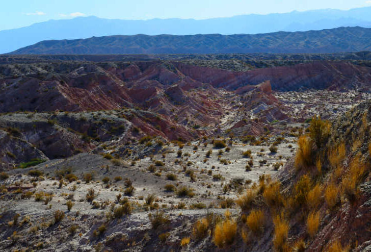 A panoramic view of Los Cardones National Park.