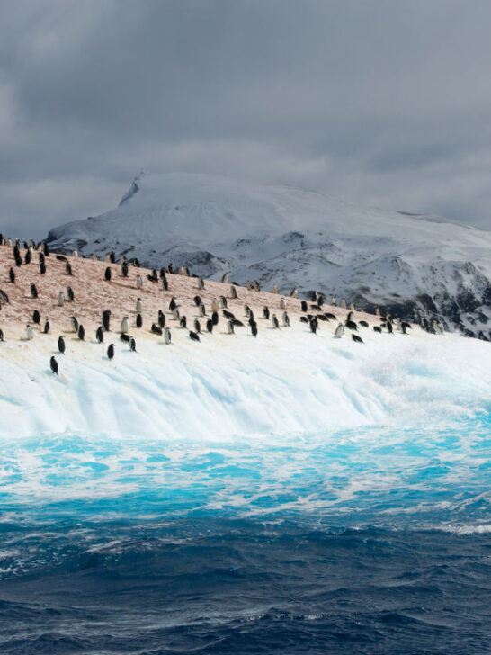 The Best Time to Visit Antarctica: Weather & Season Guide