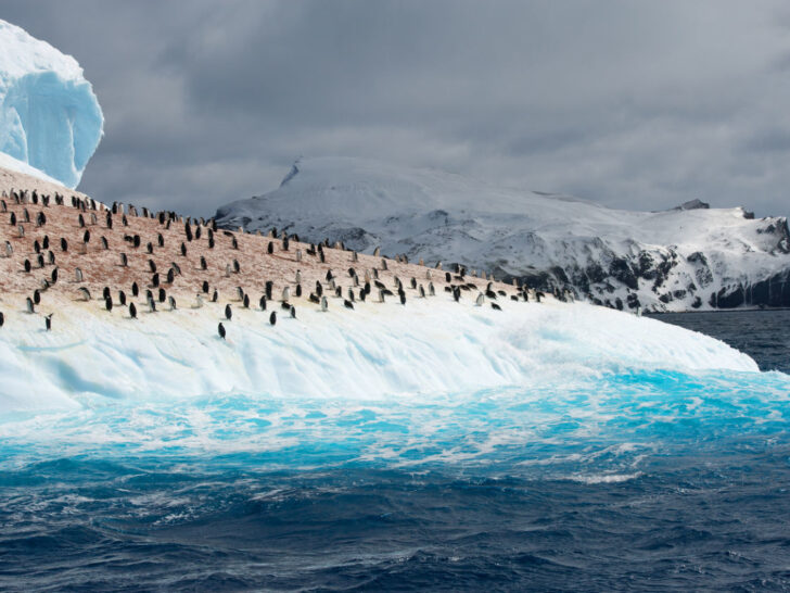 Colony of penguins on iceberg washed by light blue ocean, with mountain ridge in the background, Antarctica