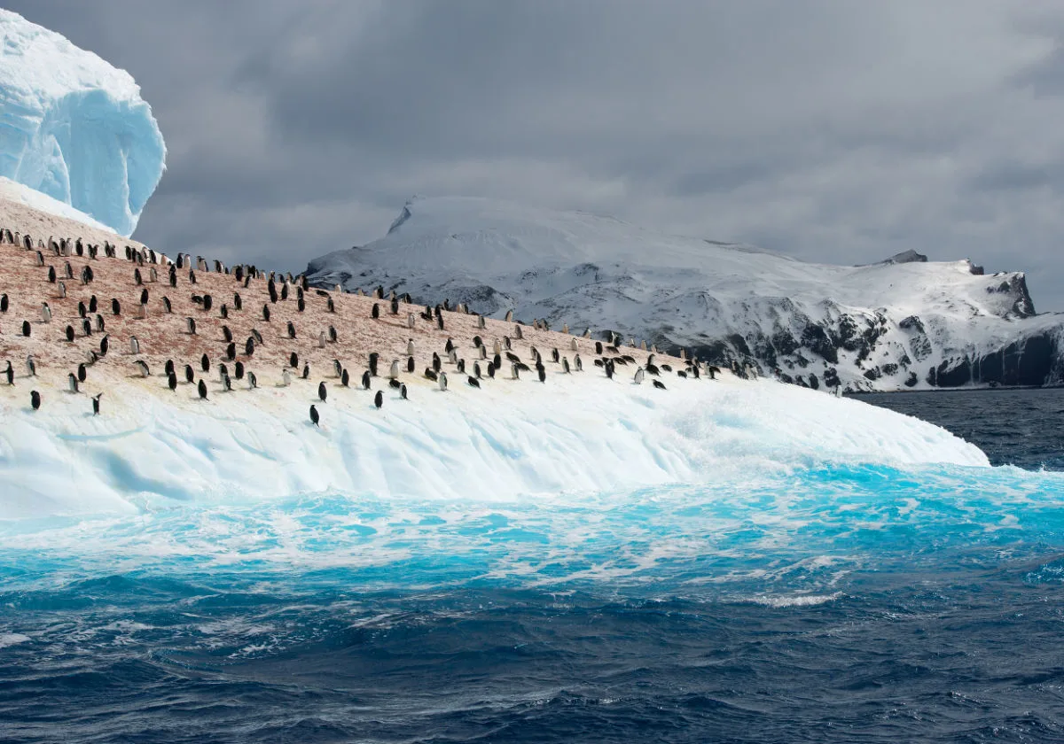 Colony of penguins on iceberg washed by light blue ocean, with mountain ridge in the background, Antarctica