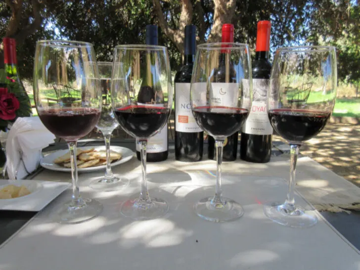 Casablanca Wine Valley wine tasting in Chile