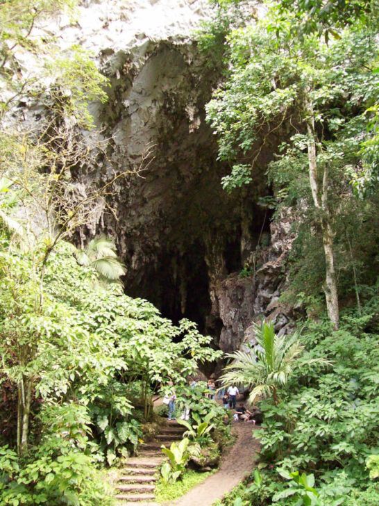 The limestone caves at Cueva de los Guácharos National Park, one of Colombia's less-visited gems