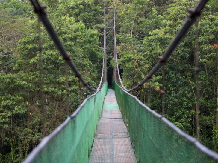 A suspension bridge in the Monteverde Cloud Forest - a must-visit in Costa Rica.